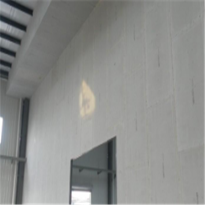 安仁宁波ALC板|EPS加气板隔墙与混凝土整浇联接的实验研讨